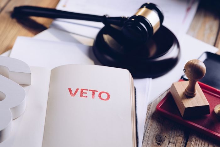 PIP Bill Vetoed